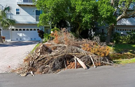 Property Clearing | Land Clearing Service In Marion